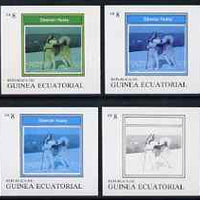 Equatorial Guinea 1977 Dogs EK8 (Siberian Husky) set of 4 imperf progressive proofs on ungummed paper comprising 1, 2, 3 and all 4 colours (as Mi 1132)