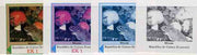Equatorial Guinea 1977 European Animals EK1 (Mouse amongst Wild Mushrooms) set of 4 imperf progressive proofs on ungummed paper comprising 1, 2, 3 and all 4 colours (as Mi 1137)