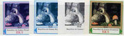 Equatorial Guinea 1977 European Animals EK5 (Stoat and Wild Mushrooms) set of 4 imperf progressive proofs on ungummed paper comprising 1, 2, 3 and all 4 colours (as Mi 1139)