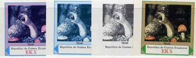 Equatorial Guinea 1977 European Animals EK5 (Stoat and Wild Mushrooms) set of 4 imperf progressive proofs on ungummed paper comprising 1, 2, 3 and all 4 colours (as Mi 1139)