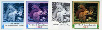Equatorial Guinea 1977 European Animals EK8 (Red Squirrel) set of 4 imperf progressive proofs on ungummed paper comprising 1, 2, 3 and all 4 colours (as Mi 1140)