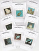 Equatorial Guinea (614) 1976 DOMESTIC CATS set of 8 imperf each mounted on Prpof cards, as Michel 797-804B
