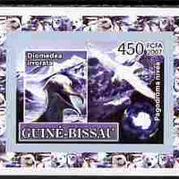 Guinea - Bissau 2007 International Polar Year - Birds #3 imperf individual deluxe sheet unmounted mint. Note this item is privately produced and is offered purely on its thematic appeal
