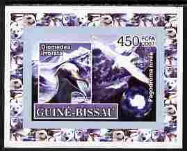 Guinea - Bissau 2007 International Polar Year - Birds #3 imperf individual deluxe sheet unmounted mint. Note this item is privately produced and is offered purely on its thematic appeal