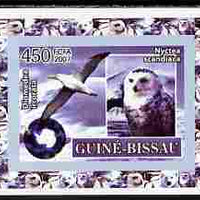 Guinea - Bissau 2007 International Polar Year - Birds #4 imperf individual deluxe sheet unmounted mint. Note this item is privately produced and is offered purely on its thematic appeal
