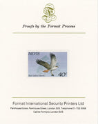 Nevis 1985 Hawks & Herons 40c (Red Tailed Hawk) imperf proof mounted on Format International proof card, as SG 266