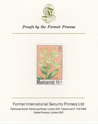Montserrat 1985 Orchids $1.15 (Eppidendrum difforme) imperf proof mounted on Format International proof card, as SG 632
