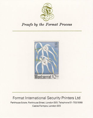 Montserrat 1985 Orchids $2.50 (Brassavola cucullata) imperf proof mounted on Format International proof card, as SG 634