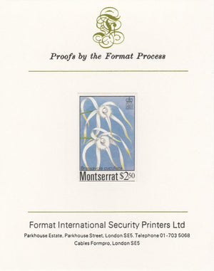 Montserrat 1985 Orchids $2.50 (Brassavola cucullata) imperf proof mounted on Format International proof card, as SG 634