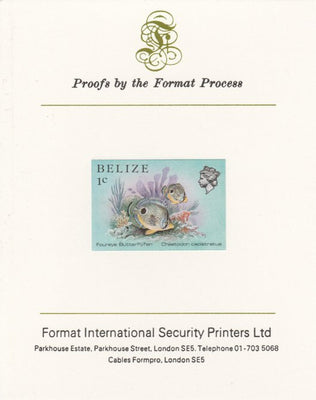 Belize 1984-88 Butterflyfish 1c def imperf proof mounted on Format International proof card as SG 766