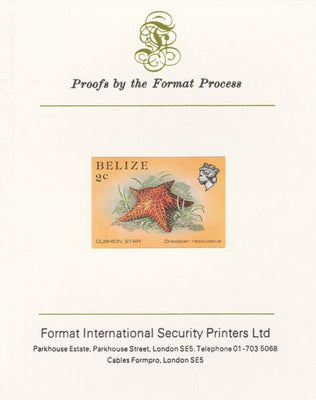 Belize 1984-88 Cushion Star 2c def imperf proof mounted on Format International proof card as SG 767