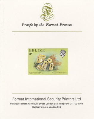 Belize 1984-88 Flower Coral 3c def imperf proof mounted on Format International proof card as SG 768