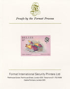 Belize 1984-88 Fairy Basslet 4c def imperf proof mounted on Format International proof card as SG 769