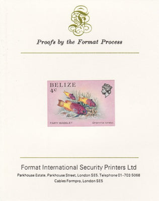 Belize 1984-88 Fairy Basslet 4c def imperf proof mounted on Format International proof card as SG 769