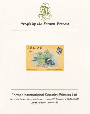 Belize 1984-88 Blueheads 15c def imperf proof mounted on Format International proof card as SG 773