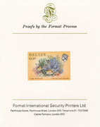 Belize 1984-88 Tube Sponge 60c def imperf proof mounted on Format International proof card as SG 776