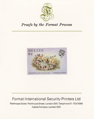 Belize 1984-88 Sea (Lettuce) Slug $2 def imperf proof mounted on Format International proof card as SG 779