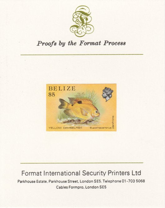 Belize 1984-88 Damselfish $5 def imperf proof mounted on Format International proof card as SG 780