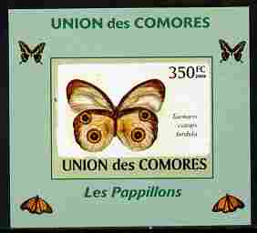 Comoro Islands 2009 Butterflies #6 individual imperf deluxe sheet unmounted mint. Note this item is privately produced and is offered purely on its thematic appeal, it has no postal validity