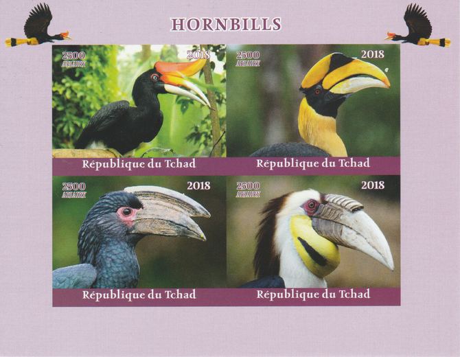 Chad 2018 Hornbill Birds imperf sheetlet containing 4 values unmounted mint. Note this item is privately produced and is offered purely on its thematic appeal.
