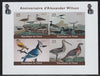 Chad 2018 Alexander Wilson (ornithologist) imperf sheetlet containing 4 values unmounted mint. Note this item is privately produced and is offered purely on its thematic appeal.