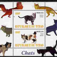 Chad 2010 Cats #2 perf sheetlet containing 2 values unmounted mint