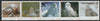 Antigua & Barbuda unissued Owls perforated strip of 5 essays produced on official blank stamp paper unmounted mint, apparently no more than 15 strips exist. Slight offset on gummed side