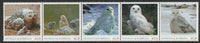 Antigua & Barbuda unissued Owls perforated strip of 5 essays produced on official blank stamp paper unmounted mint, apparently no more than 15 strips exist. Slight offset on gummed side