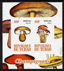 Chad 2010 Mushrooms #2 imperf sheetlet containing 2 values unmounted mint