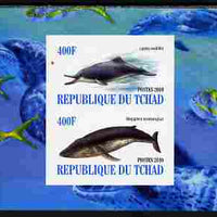 Chad 2010 Whales & Dolphins imperf sheetlet containing 2 values unmounted mint