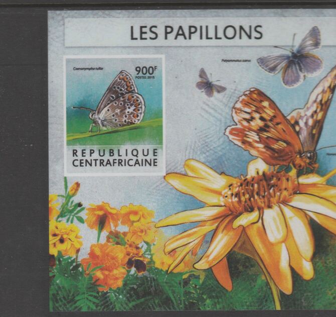 Central African Republic 2015 Butterflies #7 imperf s/sheet unmounted mint. Note this item is privately produced and is offered purely on its thematic appeal