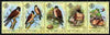 Seychelles 1980 Birds 2nd Issue - Kestrel perf strip of 5 each overprinted SPECIMEN unmounted mint SG 463s-67s