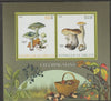 Djibouti 2015 Fungi perf sheet containing two values unmounted mint