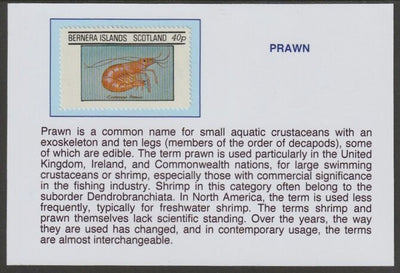 Bernera 1982 Shell Fish - Prawn 40p mounted on glossy card with historical notes - privately produced 150mm x 100mm