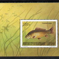 Kyrgyzstan 1994 Fish m/sheet (Carp) unmounted mint