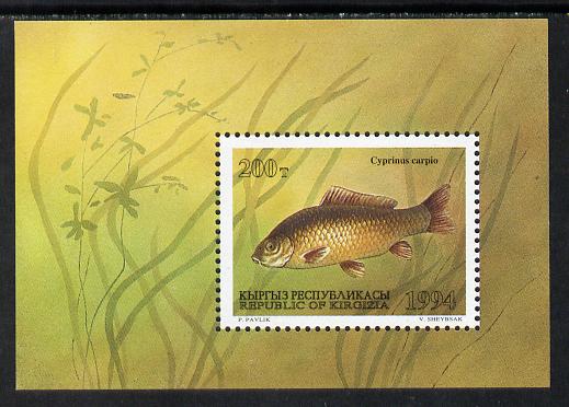 Kyrgyzstan 1994 Fish m/sheet (Carp) unmounted mint
