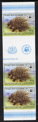 Lesotho 1981 WWF - Cape Porcupine 40s imperf gutter strip of 3 unmounted mint, only about 20 strips believed to exist, SG 471