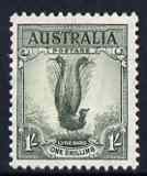 Australia 1937-49 KG6 Lyre Bird 1s P13.5 x 14 lightly mounted SG 174