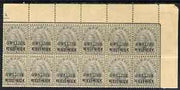 Indian States - Gwalior 1899-1911 QV 3p grey corner block of 12 (6 x 2) from upper right of sheet (rows 1 & 2) with minor broken letters noted, overall toning but unmounted mint SG 39