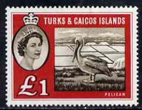 Turks & Caicos Islands 1960 Brown Pelican £1 unmounted mint SG 253