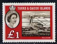 Turks & Caicos Islands 1960 Brown Pelican £1 unmounted mint SG 253
