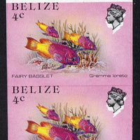 Belize 1984-88 Fairy Basslet 4c def in unmounted mint imperf pair showing superb 2mm shift of black (as SG 769) very fine double variety
