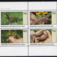 Bernera 1982 Lizards perf set of 4 values (10p to 75p) unmounted mint