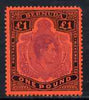Bermuda 1938-53 KG6 £1 P13 (Nov '51) with major scroll flaw (stamp 14) corner fault o/w fine mounted mint