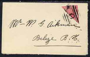 British Honduras 1888 QV 2c on 1d bisected and used on part 'Aikmen' local cover, SG 25b