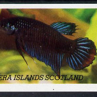 Bernera 1982 Tropical Fish imperf souvenir sheet (£1 value) unmounted mint