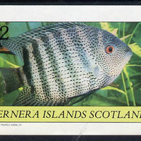 Bernera 1982 Tropical Fish imperf deluxe sheet (£2 value) unmounted mint