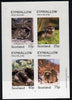 Eynhallow 1981 Animals #02 (Rat, Otter, Mole) imperf,set of 4 values (10p to 75p) unmounted mint