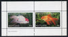 Bernera 1982 Ornamental Fish perf,set of 2 values (40p & 60p) unmounted mint