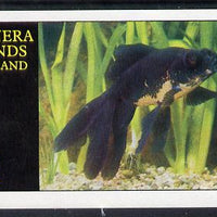 Bernera 1982 Ornamental Fish imperf souvenir sheet (£1 value) unmounted mint